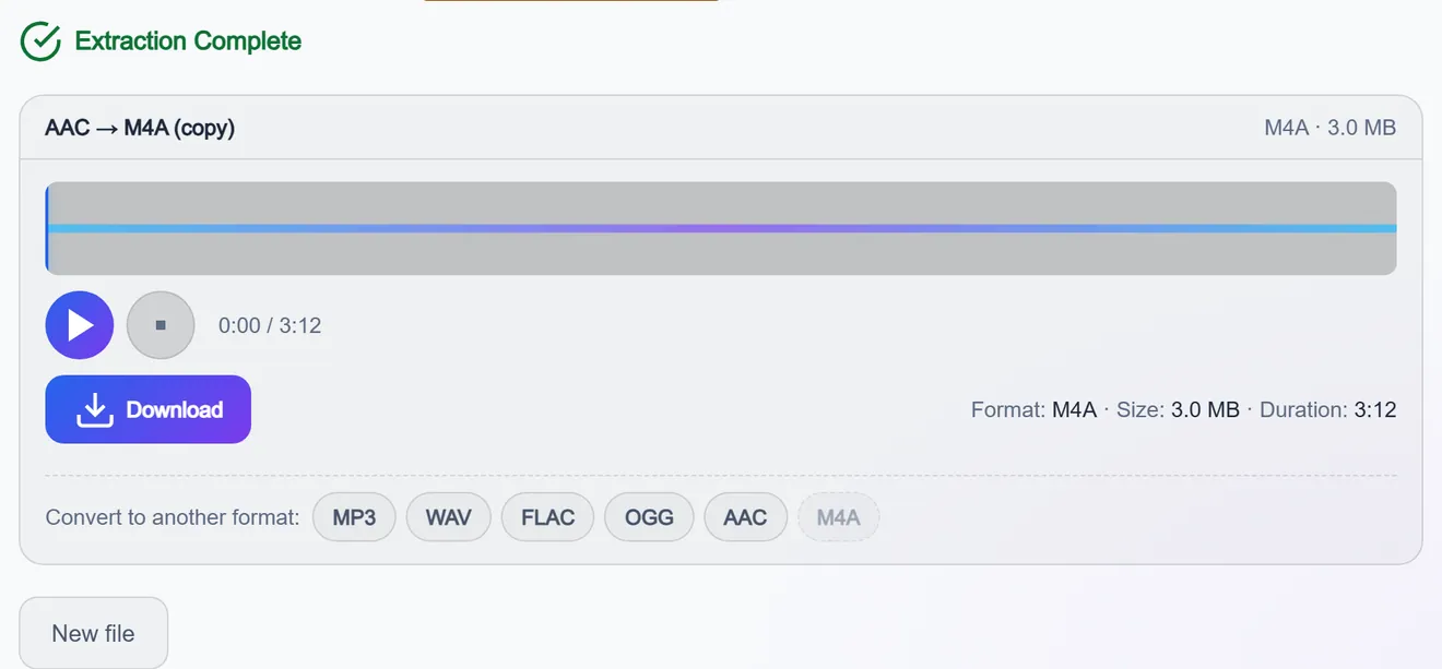 Result block: format, size, duration, player and download button